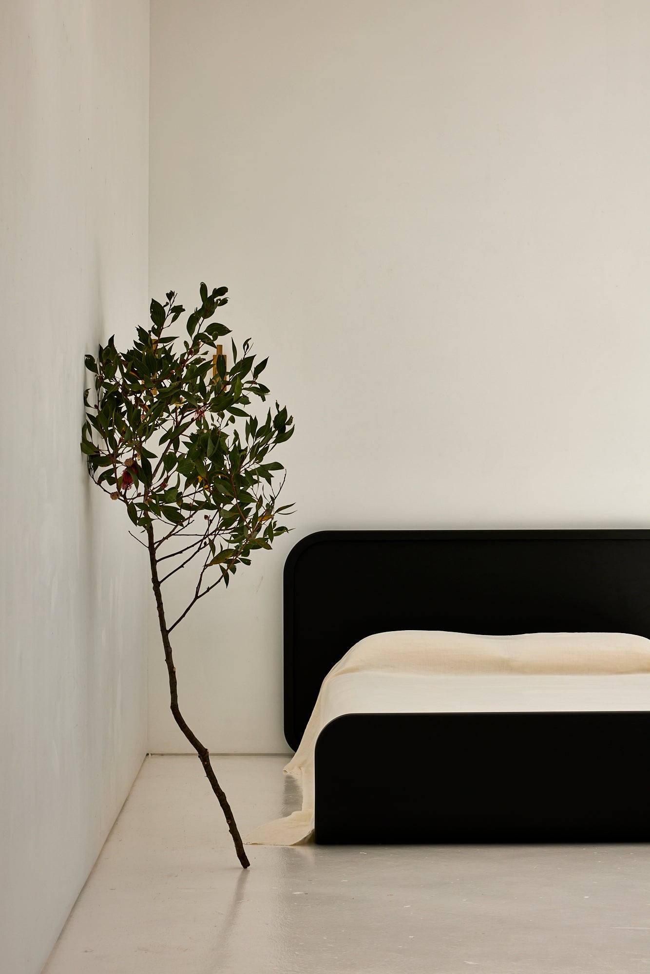 Nour Bed